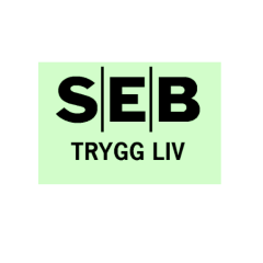 Skärmavbild 2022-06-13 kl. 14.14.09