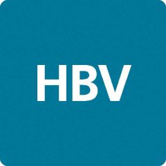 hbv-logga-201124